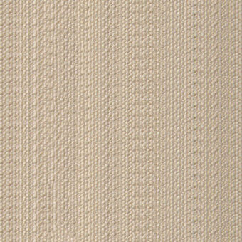 Beige - cod 1
